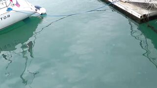 Travel guide #1 по Имеретинскому порту: морская рыбалка в Сочи снасти и моторы