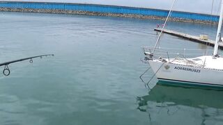 Travel guide #1 по Имеретинскому порту: морская рыбалка в Сочи снасти и моторы