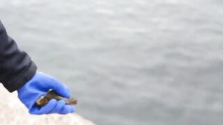 Мыс Видный с пирса: морская рыбалка в Хосте на вечерней струе