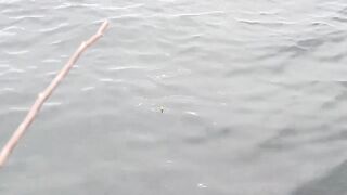 Мыс Видный с пирса: морская рыбалка в Хосте на вечерней струе