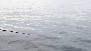 Мыс Видный с пирса: морская рыбалка в Хосте на вечерней струе