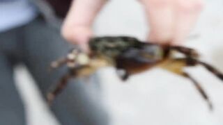 Мыс Видный с пирса: морская рыбалка в Хосте на вечерней струе