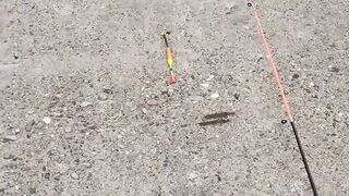 Мыс Видный с пирса: морская рыбалка в Хосте на вечерней струе