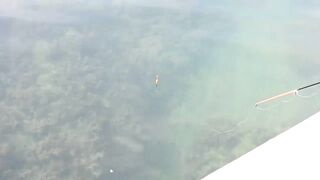 Мыс Видный с пирса: морская рыбалка в Хосте на вечерней струе