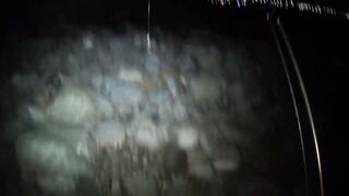 Rockfish 2024, мыс Видный: ночная рыбалка под фонарями