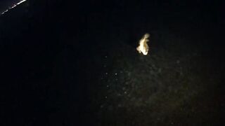 Rockfish 2024, мыс Видный: ночная рыбалка под фонарями