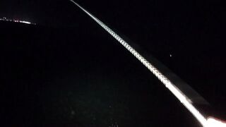 Rockfish 2024, мыс Видный: ночная рыбалка под фонарями