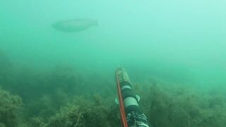 Подводная охота у мыса Видный а морская рыбалка рядом работает?