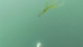 Подводная охота у мыса Видный а морская рыбалка рядом работает?