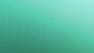 Подводная охота у мыса Видный а морская рыбалка рядом работает?