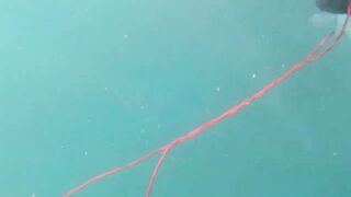 Подводная охота у мыса Видный а морская рыбалка рядом работает?