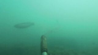 Подводная охота у мыса Видный а морская рыбалка рядом работает?