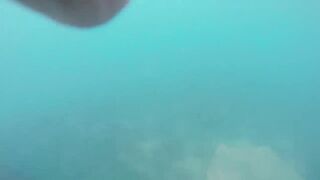 GoPro Мыс Видный горбыль за двушку морская рыбалка в Сочи на камнях