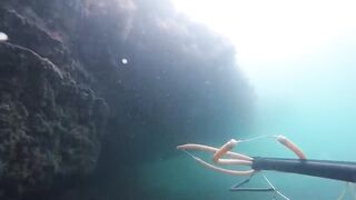 GoPro Мыс Видный горбыль за двушку морская рыбалка в Сочи на камнях