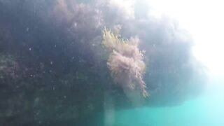 GoPro Мыс Видный горбыль за двушку морская рыбалка в Сочи на камнях