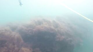 GoPro Мыс Видный горбыль за двушку морская рыбалка в Сочи на камнях