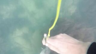 GoPro Мыс Видный горбыль за двушку морская рыбалка в Сочи на камнях