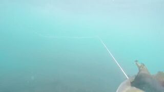 GoPro Мыс Видный горбыль за двушку морская рыбалка в Сочи на камнях