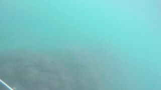 GoPro Мыс Видный горбыль за двушку морская рыбалка в Сочи на камнях