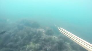 GoPro Мыс Видный горбыль за двушку морская рыбалка в Сочи на камнях