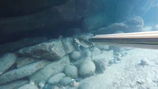 GoPro Мыс Видный горбыль за двушку морская рыбалка в Сочи на камнях