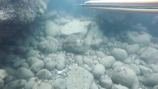 GoPro Мыс Видный горбыль за двушку морская рыбалка в Сочи на камнях