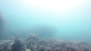 GoPro Мыс Видный горбыль за двушку морская рыбалка в Сочи на камнях