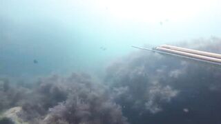 GoPro Мыс Видный горбыль за двушку морская рыбалка в Сочи на камнях