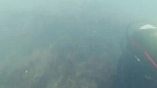 Дайвинг на Мысе Видный, а рыбалка здесь вообще возможна?