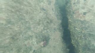 Дайвинг на Мысе Видный, а рыбалка здесь вообще возможна?