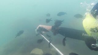 Дайвинг на Мысе Видный, а рыбалка здесь вообще возможна?