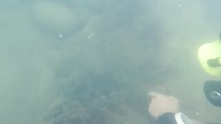 Дайвинг на Мысе Видный, а рыбалка здесь вообще возможна?