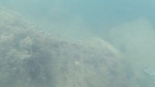 Дайвинг на Мысе Видный, а рыбалка здесь вообще возможна?