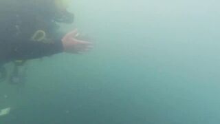 Дайвинг на Мысе Видный, а рыбалка здесь вообще возможна?