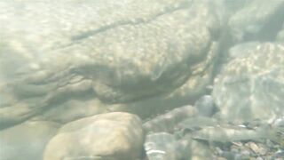 Река Псезуапсе прозрачная вода и рыбалка здесь вообще уместна?