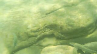 Река Псезуапсе прозрачная вода и рыбалка здесь вообще уместна?