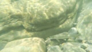 Река Псезуапсе прозрачная вода и рыбалка здесь вообще уместна?