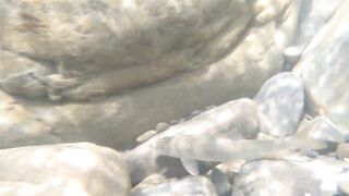 Река Псезуапсе прозрачная вода и рыбалка здесь вообще уместна?