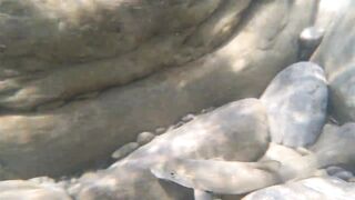 Река Псезуапсе прозрачная вода и рыбалка здесь вообще уместна?