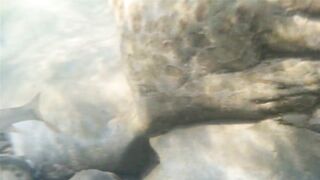 Река Псезуапсе прозрачная вода и рыбалка здесь вообще уместна?