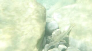 Река Псезуапсе прозрачная вода и рыбалка здесь вообще уместна?