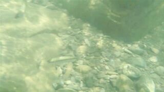 Река Псезуапсе прозрачная вода и рыбалка здесь вообще уместна?