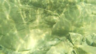 Река Псезуапсе прозрачная вода и рыбалка здесь вообще уместна?