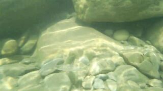 Река Псезуапсе прозрачная вода и рыбалка здесь вообще уместна?