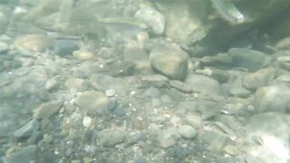 Река Псезуапсе прозрачная вода и рыбалка здесь вообще уместна?