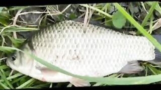 С берега и в протоках: рыбалка с Михалычем на реке Мацеста