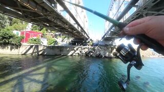 С берега и в протоках: рыбалка с Михалычем на реке Мацеста