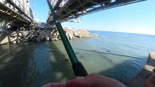 С берега и в протоках: рыбалка с Михалычем на реке Мацеста