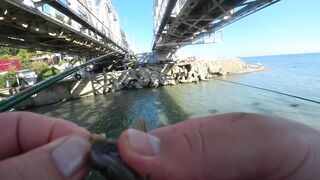 С берега и в протоках: рыбалка с Михалычем на реке Мацеста