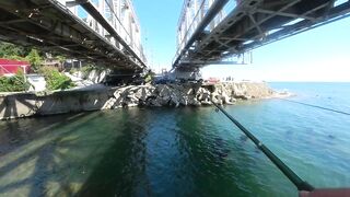 С берега и в протоках: рыбалка с Михалычем на реке Мацеста